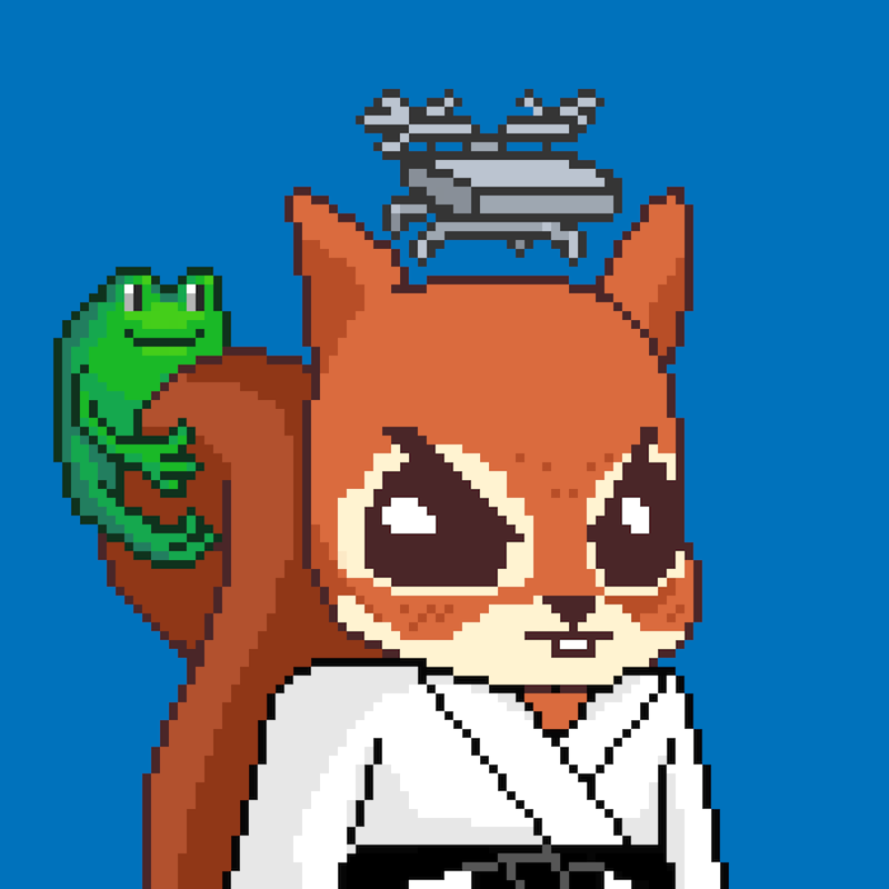 Pixel Squirrels #9847